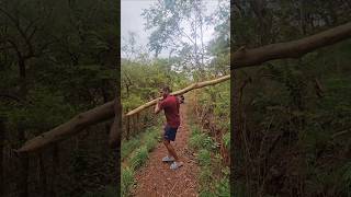 maram throwing🪵 #malayalam #motivation #shortsfeed #funny...