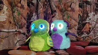 Hatchimals - Draggle and Burtle