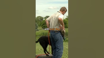 There is Nothing Worse! A Dog That Doesn