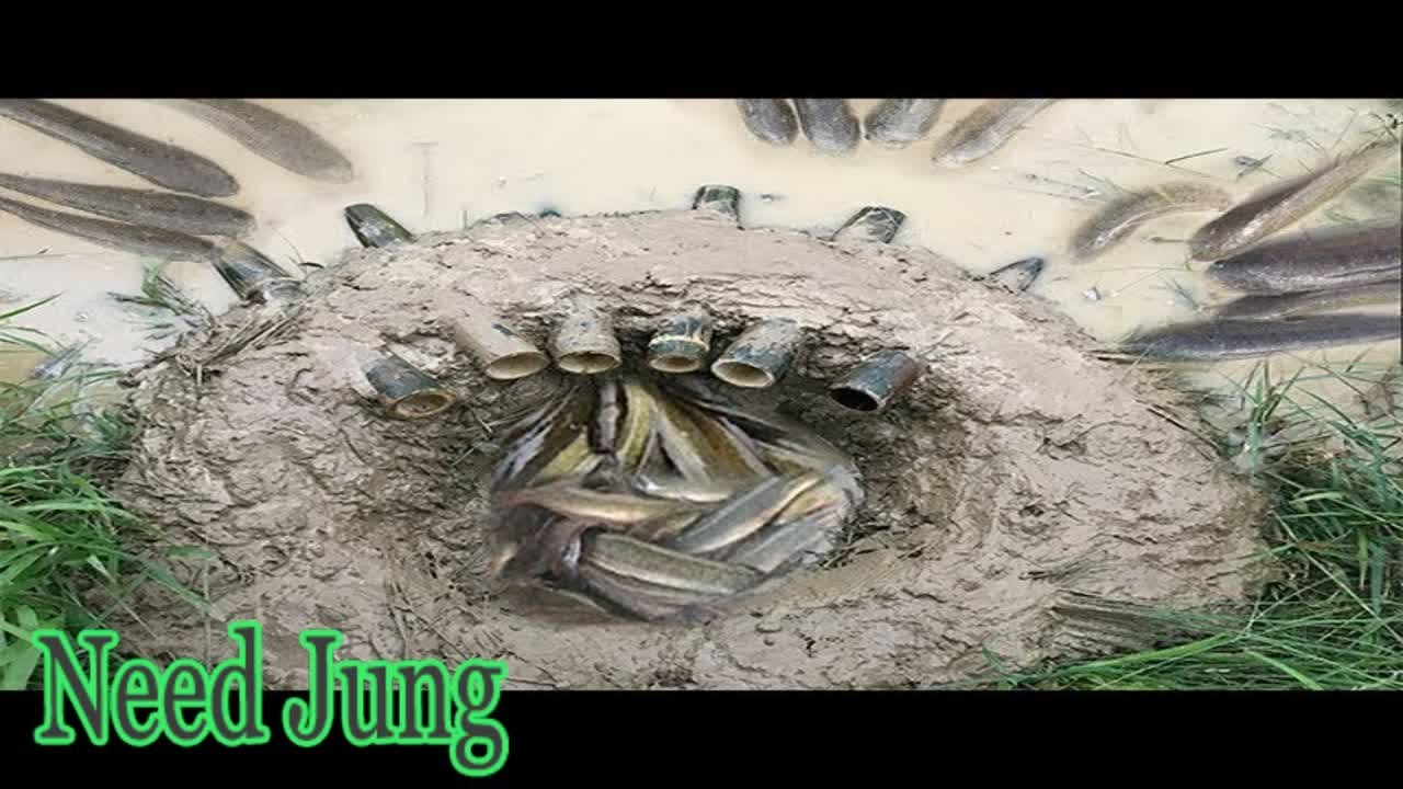 Clever Man Make A Primitive Deep Hole Fish Trap With Bamboo-How To Make ...