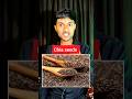 Super Seeds जे तुमचं आरोग्य वाचवतील 💪#marathi #youtubeshorts #shorts