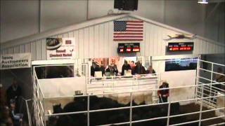 #26 Murt Boyum.wmv