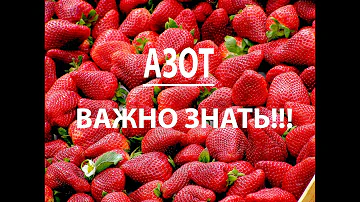 АЗОТ важно знать!