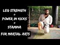 Can you survive a martial artists leg strength workout