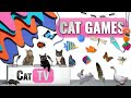 Jeux de chat  compilation ultime de cat tv vol 39  2 heures 