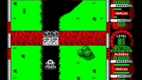 Dizzy Down the Rapids Gameplay (Amstrad CPC)