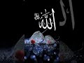 Vo mera nabi hai #allah #nabi #trending #shorts💞❤