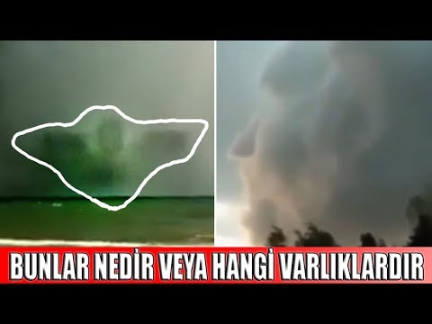 Video: Alkol veya direksiyon simidi: Brezilya sosyal kampanyası