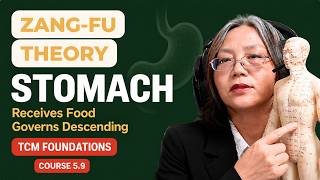 The Stomach in TCM: Receiving Food, Descending Qi & Stomach Qi | TCM Foundations · Course 5.9