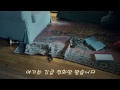 911에 걸려온 피자 주문전화 Mp3 Song