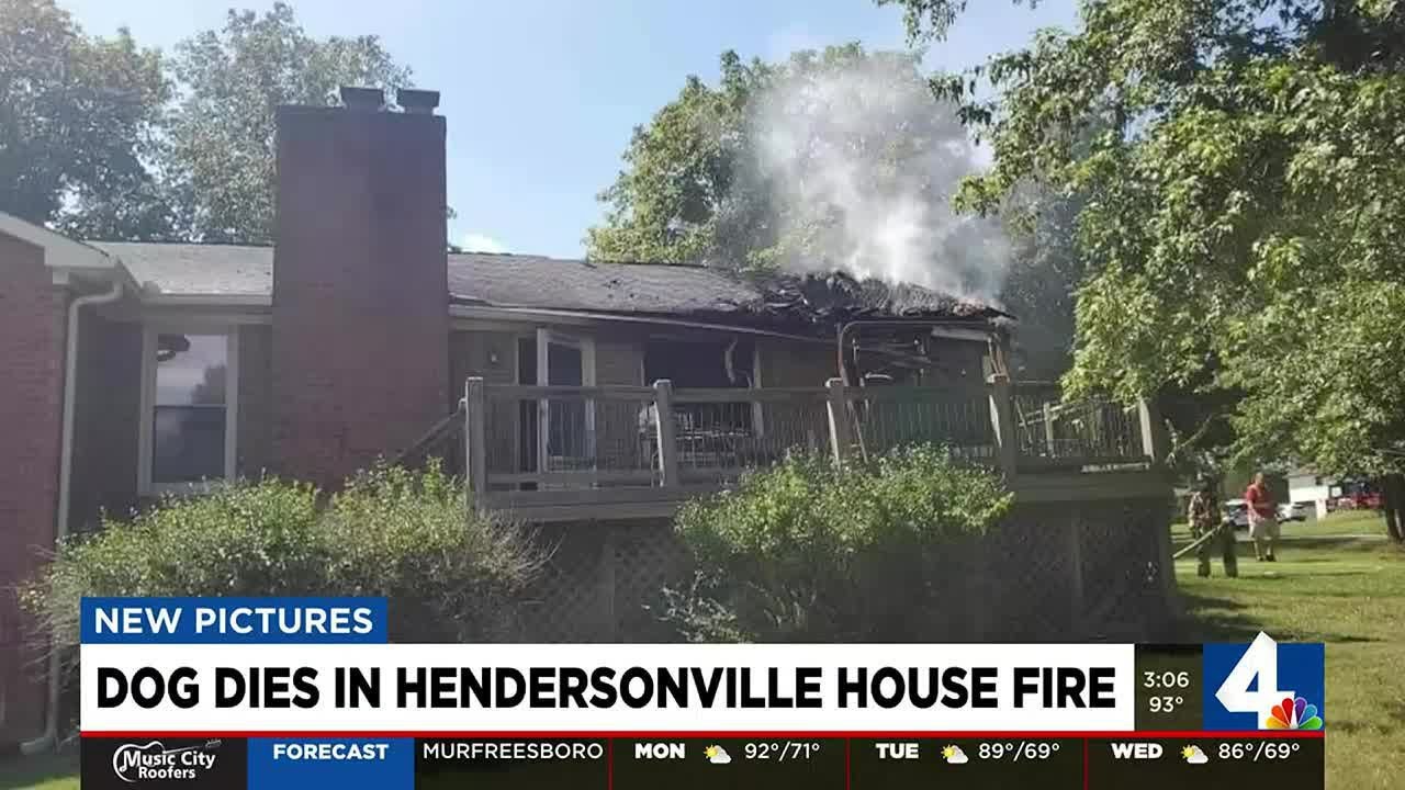 Dog dies in Hendersonville house fire - YouTube