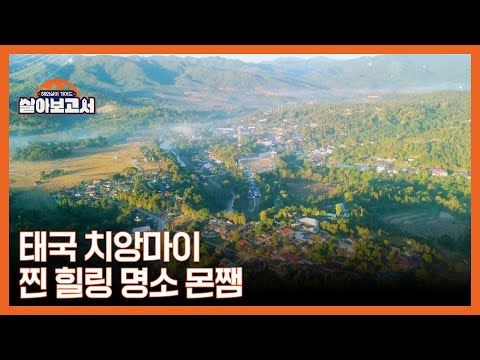 MZ 취향 저격! 치앙마이에서 꼭 가야 되는 핫플 공개 MBN 250326 방송