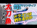 太刀魚テンヤ釣り、泉佐野マリンライフの宝来丸