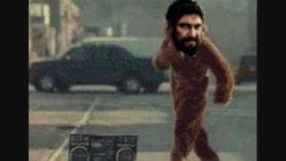 Worlds Funniest Gifs