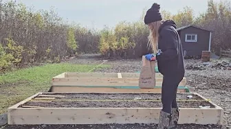 Planting Fall Garlic in Raised Beds