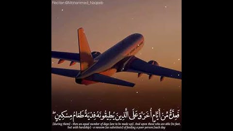 #تلاوات #ماهر_المعيقلي #ياسر_الدوسري #ناصر_القطامي #السديس #خالد_الغامدي(29)