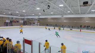 Green 9 Full ice back check to break up 2v1