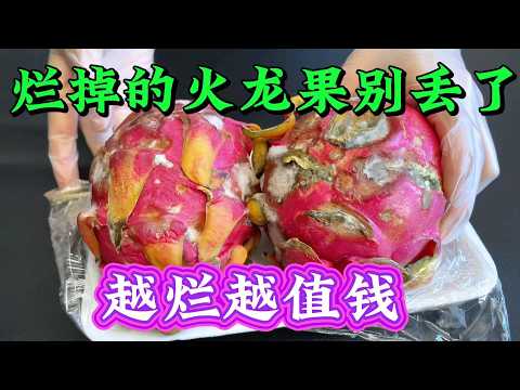 Stop Throwing Away Rotten Dragon Fruit: The More It's Spoiled, the More It’s Worth! I Just Found ...