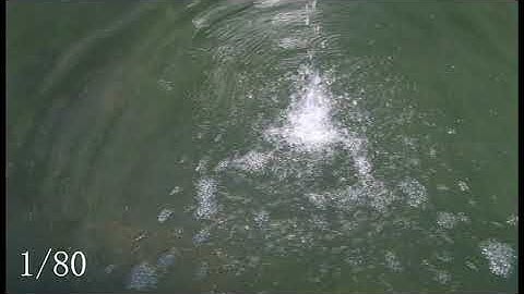 Lesson 2 Shutter speed demo video