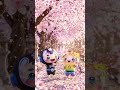 中板橋の桜　#shorts　#sakura