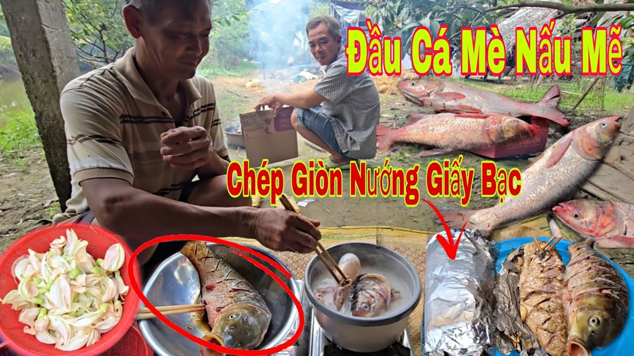 Cá Chép Giòn Lai Nướng Giấy Bạc, Đ.ầu Cá Mè Hoa Nấu Canh Chua.