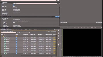 Ingestion Metadata