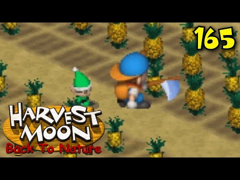 Harvest Moon Back To Nature Storage