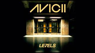 Avicii-Levels Pitch 33+.wmv