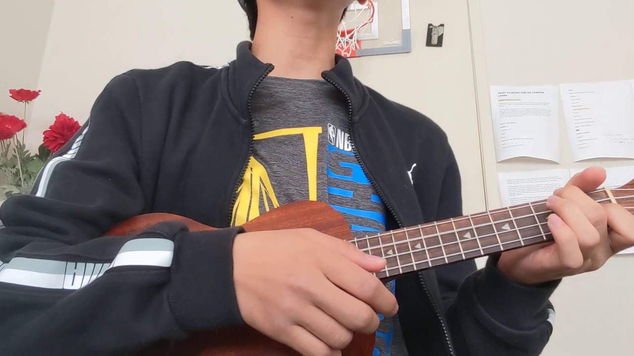 Have It All Cover (Ukulele) YouTube