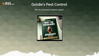 Why Do Cockroaches Suddenly Appear?