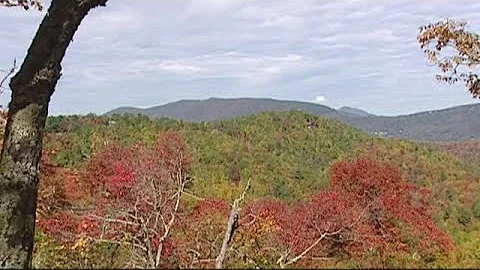 When you can expect peak fall color in North Carolina this year