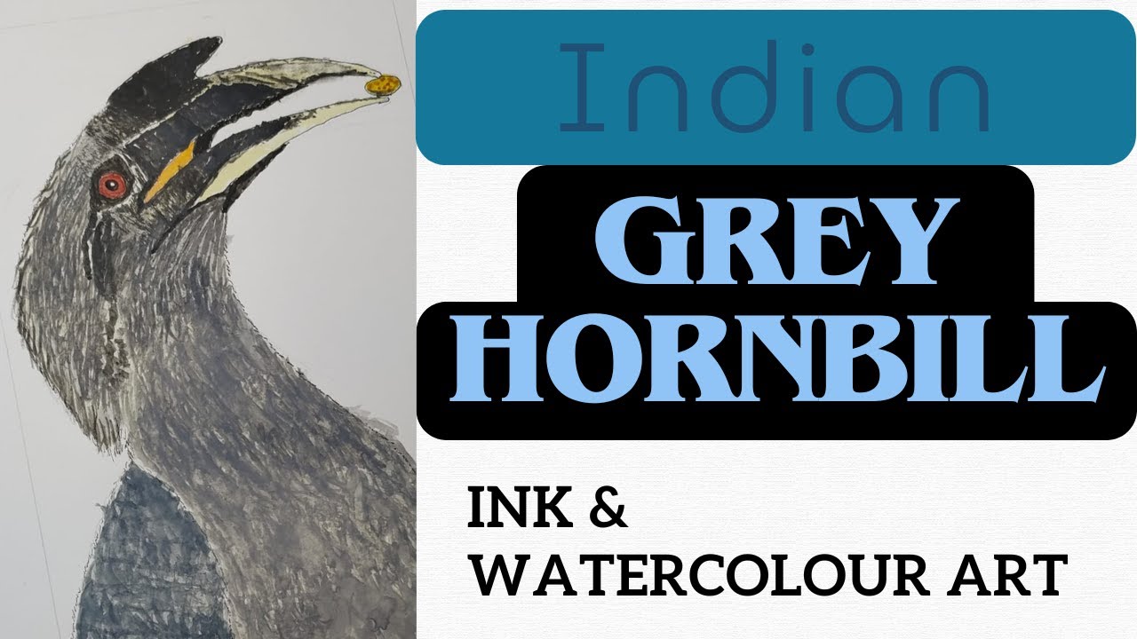 Grey Hornbill - Art Painting - 