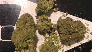 Surterra Tillamook Strawberry Smokable Flower Review ||Mmj Florida #surterra  #flmmjcollective