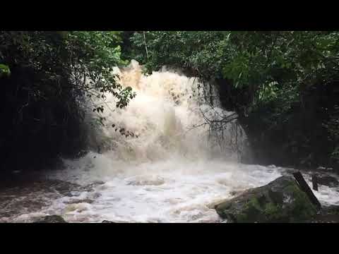 It S Bukoba Municipal Kagera Tanzania 