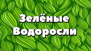 Ботаника.Зелёные водоросли.