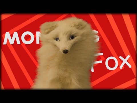 Romantic Valentines Evening - Mondays with Mr.Fox