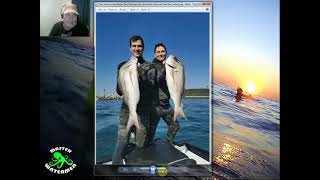 Huge Catface Rockcod shoaling. Bear Report 18-06-2021