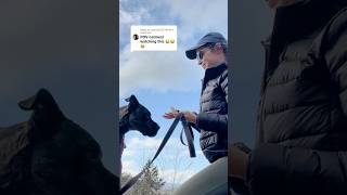 Am I Gonna Be In The Dog House