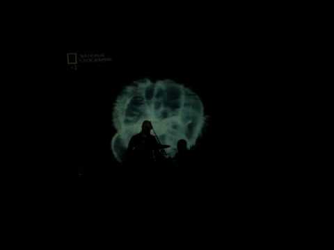 Marnero — MARNERO - ZOSTER (LA PARTE SBAGLIATA / I FARMACI GIUSTI) - LIVE  ANTIMTVDAY8 - 190909