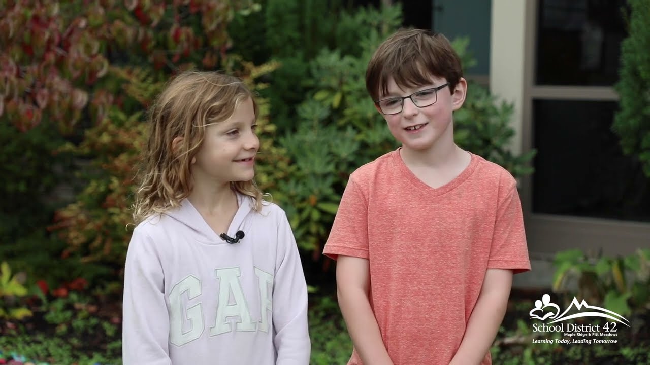 Maple Ridge, Pitt Meadows schools raise tens of thousands during Terry Fox Runs