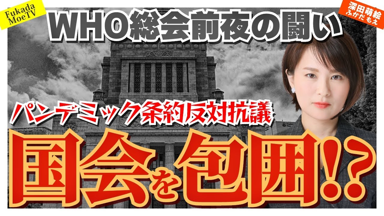 パンデミック条約反対抗議で国会を包囲！？　#我那覇真子　#林千勝　#及川幸久　#吉野敏明　#山岡鉄秀