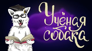 Чешская народная сказка «Ученая собака» | Аудиосказка для детей 0+