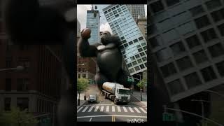 Angry Gorilla Voooooo......