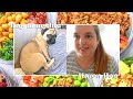 Disney Trip Update &amp; Life News! | Day in my Life | Karen Bee
