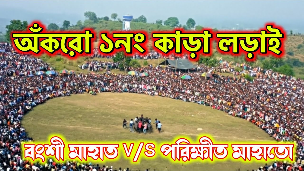 অঁকরো ১নং কাড়া লড়াই  ।। বংশী মাহাত v/s পরিক্ষীত মাহাতো  ।। Ankro 1no Kara Loryi.. Ankro Kara lori.