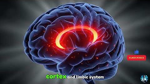 The Science of the Female Orgasm How Pleasure Really Works