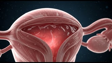 The Science of the Female Orgasm How Pleasure Really Works