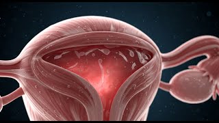 The Science Of The Female How Pleasure Really Works