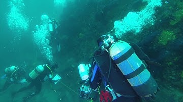 Monitoring Coralligenous and Posidonia beds in Croatia