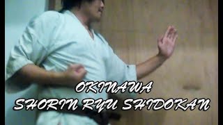 Basic Punches Shorin Ryu Karate